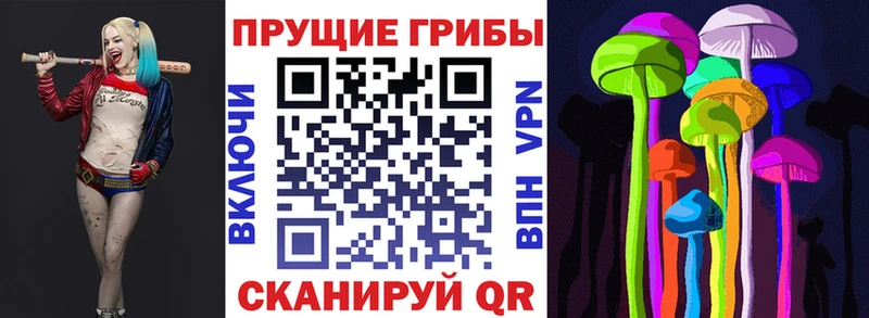 Псилоцибиновые грибы мицелий Николаевск-на-Амуре